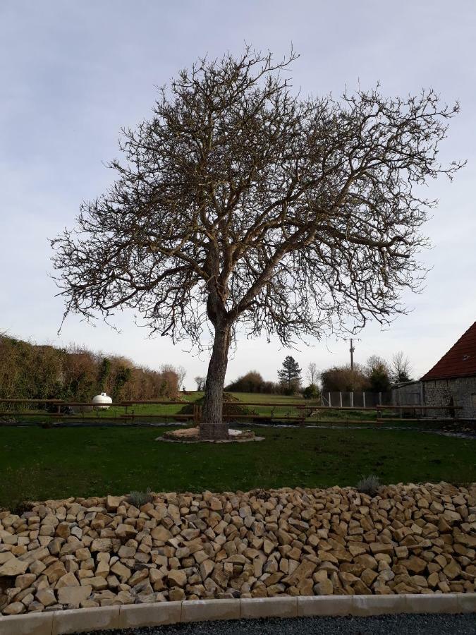 Gite " Le Vieux Noyer" Liesville-sur-Douve Kültér fotó
